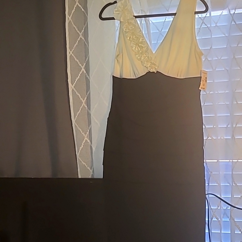 Size 12 Dressbarn collection dress